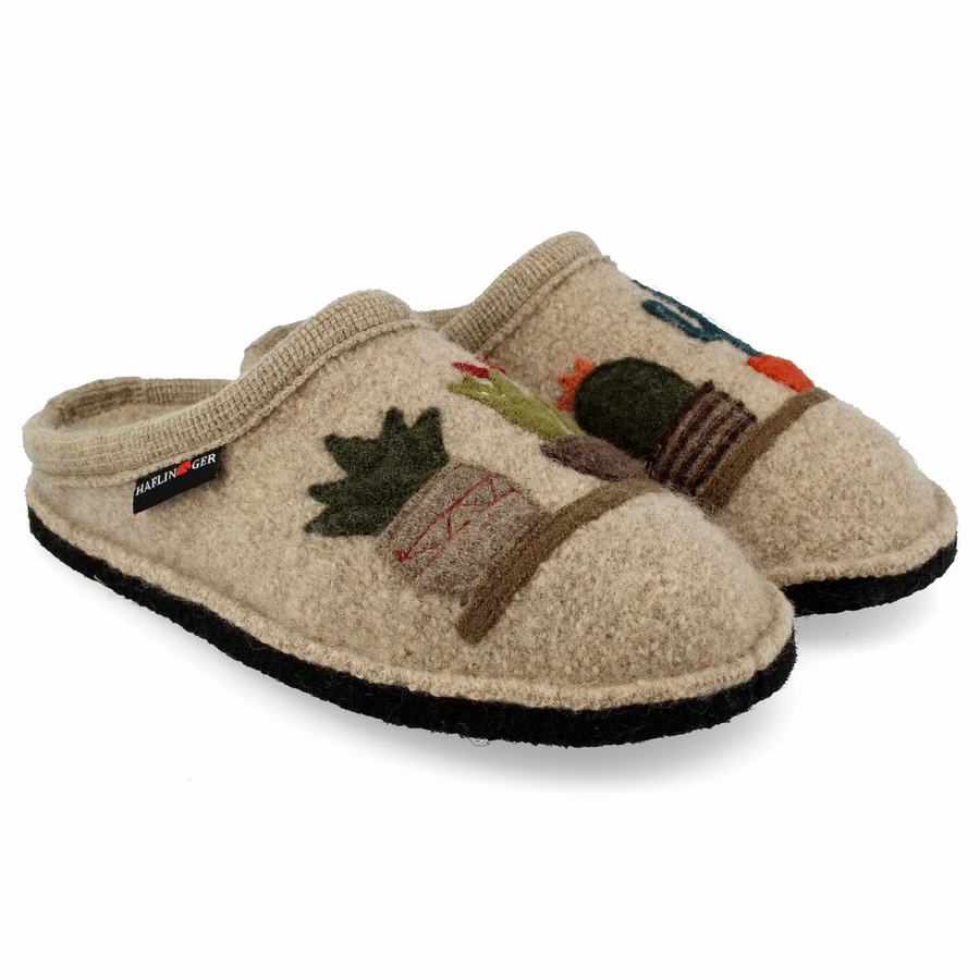 Haflinger Cactus Novelty Tøfler Herre Beige | SCF6827DQ